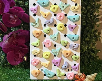 May include: A white climbing wall with various pastel-colored climbing holds. The holds are in shades of pink, yellow, green, and blue. The wall is surrounded by greenery and flowers, with a hermit crab and seashells in the foreground.