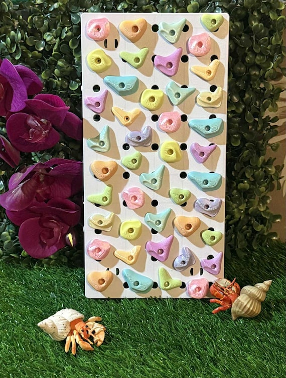 The OG Hermit Crab Rock Climbing Wall - Etsy
