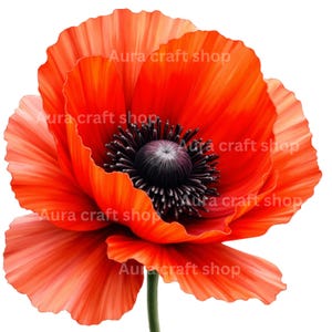Clipart de flores silvestres en acuarela / PNG floral pintado a mano / Elementos botánicos bohemios / Uso comercial / Descarga digital