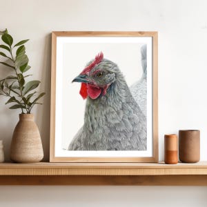 Realistische kip kunstafdruk - originele kleurpotloodillustratie - kip muurkunst