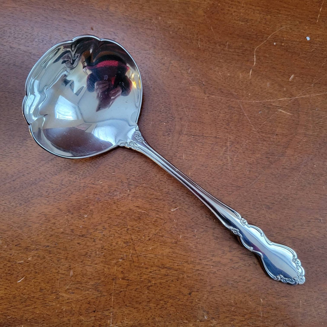 Vintage Flatware Old Silverware Ladle Utensils Flowers Oneida Dover