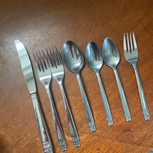 Vintage Flatware ENCORE or AZTEC Wm. A Rogers | Oneida Stainless Silverware flower tip fork knife utensils replacements placesetting