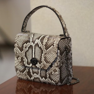 May include: A small, square handbag with a top handle. The bag is covered in a snakeskin pattern in shades of brown, gray, and white. It has a flap closure with a black clasp and a silver chain strap.