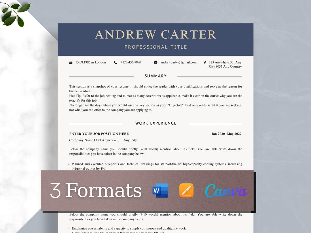 Resume Compact Example Editable Resume Template Compact Cv Template, Professional Resume ...
