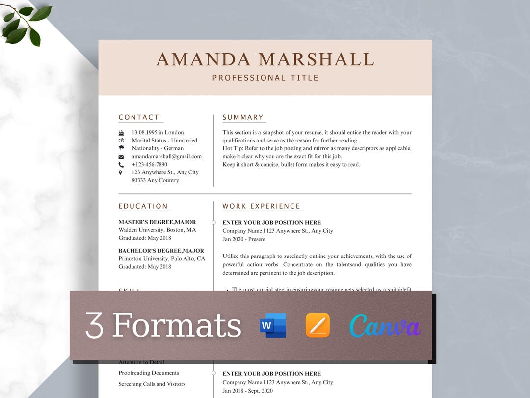 Resume Compact Example Editable Resume Template, Compact CV Template , Professional ...