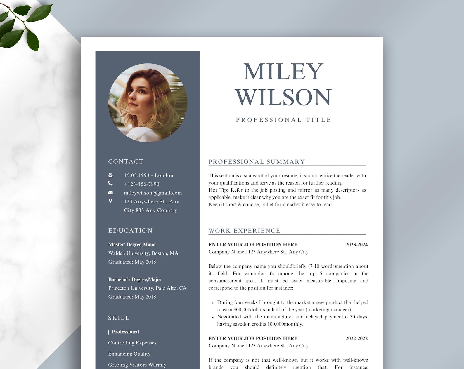 Free Biodata Format for Word