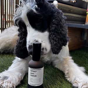 Dog Deodorizing Spray – Botanical Odor Neutralizer • Hypoallergenic • No Perfume Made In France