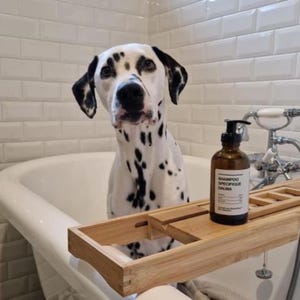 Dalmatian Botanical Shampoo – Hypoallergenic Radiance & Purity Made In France