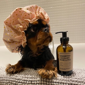 Cavalier King Charles Shampoo – Black & Tan • Hypoallergenic • Shine and Skin Calm Made in France