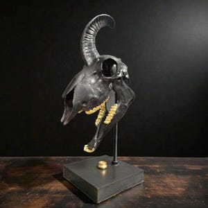 May include: A matte black animal skull sculpture featuring a single curved horn and gold-painted teeth. The skull is mounted on a vertical metal rod attached to a square black base, which also features a small, separate gold-colored ring component.