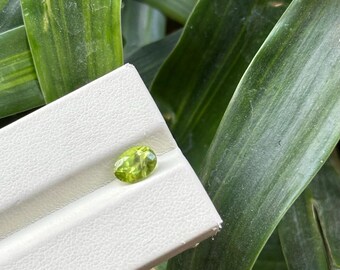 Péridot naturel Pierre de naissance d'août, pierre de naissance, cristal vert, péridot poli pour la fabrication de bijoux
