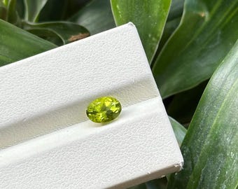 Péridot naturel Pierre de naissance d'août, pierre de naissance, cristal vert, péridot poli pour la fabrication de bijoux
