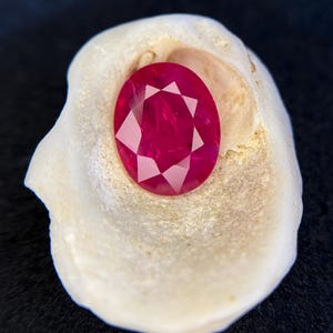 Peut inclure: Une pierre précieuse rubis de taille ovale avec une surface à facettes affichant des teintes rouge vif. La pierre est nichée à l'intérieur concave, blanc cassé et texturé d'un petit coquillage naturel, créant un contraste avec la pierre lisse.