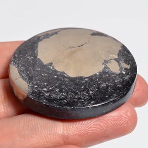 May include: A circular, polished stone disc featuring a smooth, metallic gold-toned pyrite inclusion embedded within a dark, textured black matrix. The surface is flat and rounded, showcasing a distinct contrast between the reflective mineral and the matte, granular dark stone material.