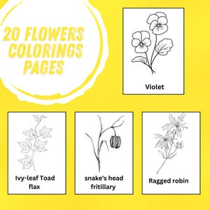 Flowers Coloring Sheets, Coloring Book Floral Theme,Simple Flowers Coloring Pages, Kids Flowers Coloring Book, Adults Coloring Book,
