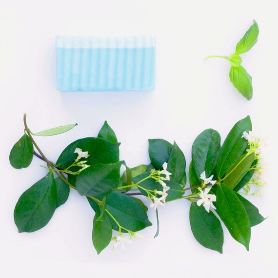Wanderlust ( Jasmine Frankincense & Basil) Goat Milk Soap