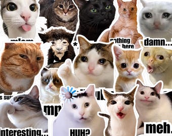 Funny Cat Meme Stickers 1 – Printable PNG Clipart Pack (Digital Download) | Catrafts