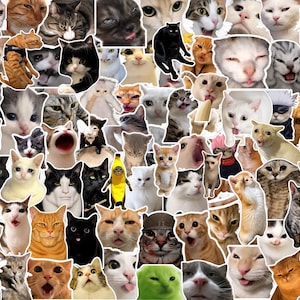 Roliga kattmeme-klistermärken: 80 virala PNG-bilder (digital nedladdning)