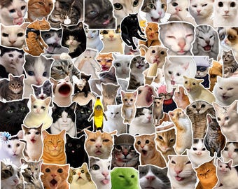 May include: A large collection of various cat stickers featuring diverse breeds and expressions, including cats with wide eyes, open mouths, and humorous poses. The assortment includes white, black, orange, and tabby cats in a collage layout.