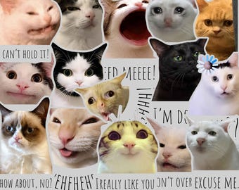 Funny Cat Meme Stickers – Printable PNG Clipart Pack (Digital Download) | Catrafts