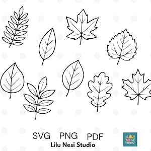 Peut inclure: Illustrations en noir et blanc de différentes formes de feuilles, dont des feuilles d'érable, de chêne et des feuilles ovales simples. L'image comprend le texte "SVG PNG PDF" et "Lilu Nesi Studio".