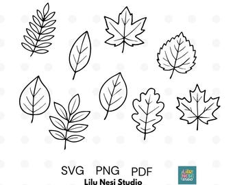 9 Fall Leaf Doodle Clipart | Black and White Autumn Leaves SVG PNG PDF | Hand-Drawn Line Art for Crafts, Stickers, Coloring, Sublimation