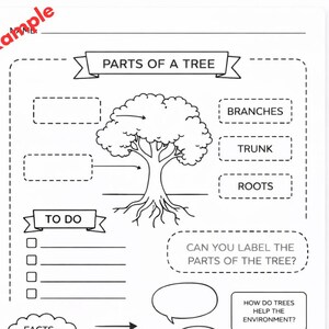 May include: Black and white educational worksheet titled "Parts of a Tree." The worksheet includes a tree diagram with labels for branches, trunk, and roots, along with fill-in-the-blank sections and prompts.