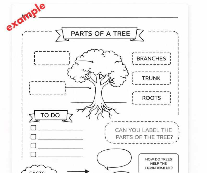 May include: Black and white educational worksheet titled "Parts of a Tree." The worksheet includes a tree diagram with labels for branches, trunk, and roots, along with fill-in-the-blank sections and prompts.
