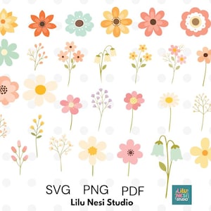 Puede incluir: Una colección de ilustraciones florales coloridas en varios estilos. La imagen presenta una variedad de flores en tonos naranja, rosa, amarillo y azul, junto con ramitas de hojas. La imagen incluye el texto "SVG PNG PDF" y "Lilu Nesi Studio".
