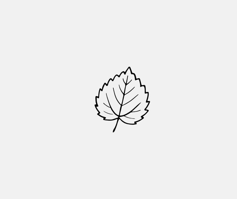 9 Fall Leaf Doodle Clipart | Black and White Autumn Leaves SVG PNG PDF ...