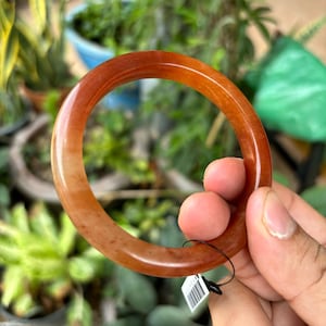 May include: A polished, reddish-brown jade bangle bracelet. The bracelet is circular and appears to be made of a translucent material. The background is blurred, with hints of green foliage and other plants.