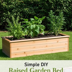 May include: A rectangular, light-coloured wooden raised garden bed filled with soil and green plants. The bed is on a grassy lawn, with a green hedge in the background. The text "Simple DIY Raised Garden Bed with Seat" is at the bottom.