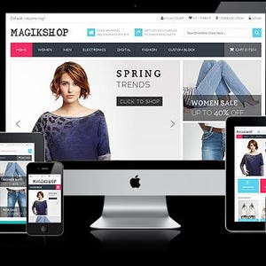 Professional Wordpress Woocommerce Ecommerce Website Development