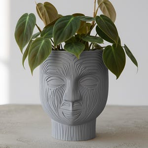 Puede incluir: Una maceta gris con forma de rostro con un diseño tallado detallado, que contiene una planta verde con hojas de color verde oscuro. La maceta tiene una base de pedestal y está llena de una planta frondosa, creando una exhibición interior decorativa.