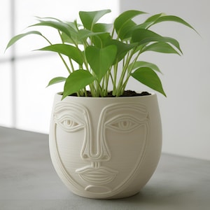 Può includere: Un vaso a forma di viso color crema con una pianta verde. Il vaso presenta un design stilizzato del viso con occhi, naso e bocca. La pianta ha foglie verde brillante ed è piantata in terra scura.