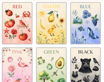 Nature Color Cards - Nature Unit Study - Educational Preschool Printable - Classroom Playroom Decor - Montessori Nature Flashcards - Pdf