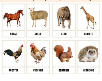 flashcards animals realistic watercolor montessori , kids Educational Preschool Printables , Farm Animals Cards .