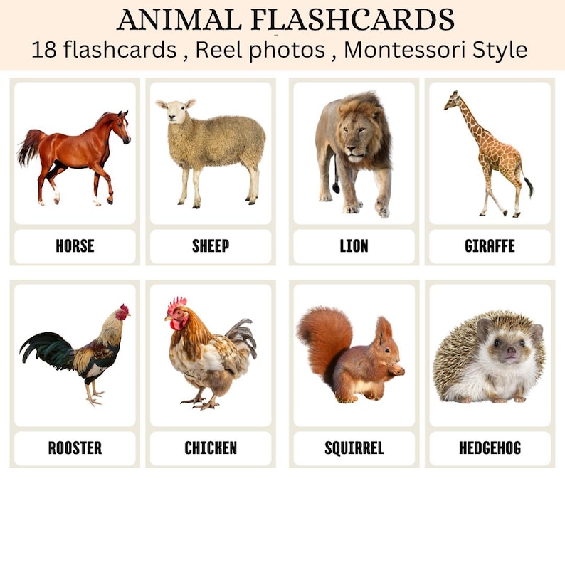 Animal Flashcards for Kids , Animal Vocabulary Flashcards , Zoo Animal ...