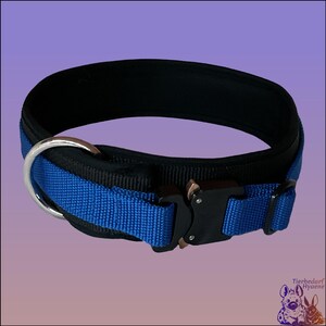 Coleira resistente para cães de 4 cm de largura com fivela Cobra da AustriAlpin em vários tamanhos, cores e acolchoamento macio.