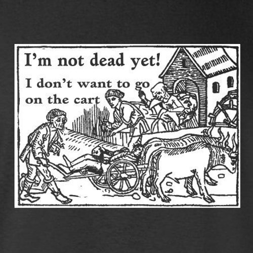 I m not dead yet monty python inspired t shirt etsy