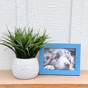 May include: A light blue wooden picture frame with a 5x7 inch opening. The frame is handmade in the USA and features a photo of a dog inside. The frame is sitting on a wooden surface next to a white planter with green plants.