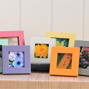 May include: A collection of small square picture frames in various solid colors including pink, mint green, purple, white, yellow, orange, gray, and black. Each frame contains a different floral or botanical photograph displayed within the center.