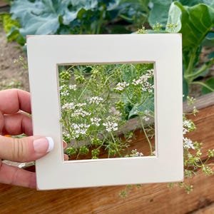 Handmade Off White Alder Wood 4x4 Picture Frame