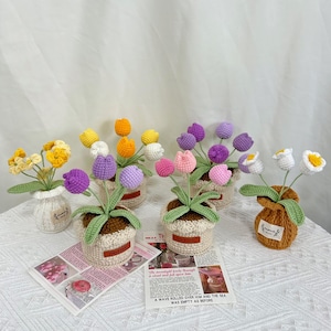 Könnte beinhalten: Eine Sammlung handgefertigter Häkelblumenarrangements in kleinen Töpfen. Die Blumen sind in verschiedenen Farben, darunter Gelb, Lila, Rosa und Weiß. Die Töpfe sind beige und braun, mit grünen Blättern.