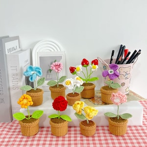 Crochet flower in pot,crochet Daisy,Carnation,Daffodils,Strawberry in Pot,Birthday,Anniversary,Housewarming gift for Friend,Mom,Girlfriend