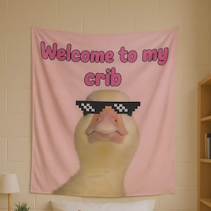 Funny Tapestry , Funny Tapestries , Welcome To My Crib Flag