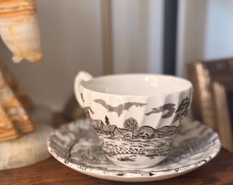 Vintage Myott Royal Mail Teacup & Saucer | Brown Transferware, English Coaching Scene