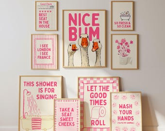 May include: A collection of framed art prints with humorous text and illustrations. The prints feature phrases like "Nice Bum" and "Wash Your Hands," along with images of geese, flowers, and a bathtub. The color palette is primarily pink and beige.