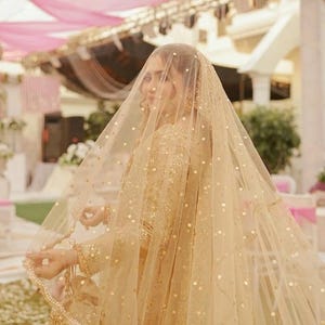 Cathedral Length English Net Veil with Gold Embroidered Border by Norma Lenain Veil With Gold Borders - Etsy main image 4