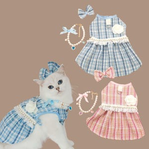 May include: A white cat wearing a blue plaid dress with a matching bow and pearl necklace. Two additional dresses, bows, and necklaces are displayed. One dress is pink plaid, and the other is blue plaid. Each dress has a white flower and pearl trim.